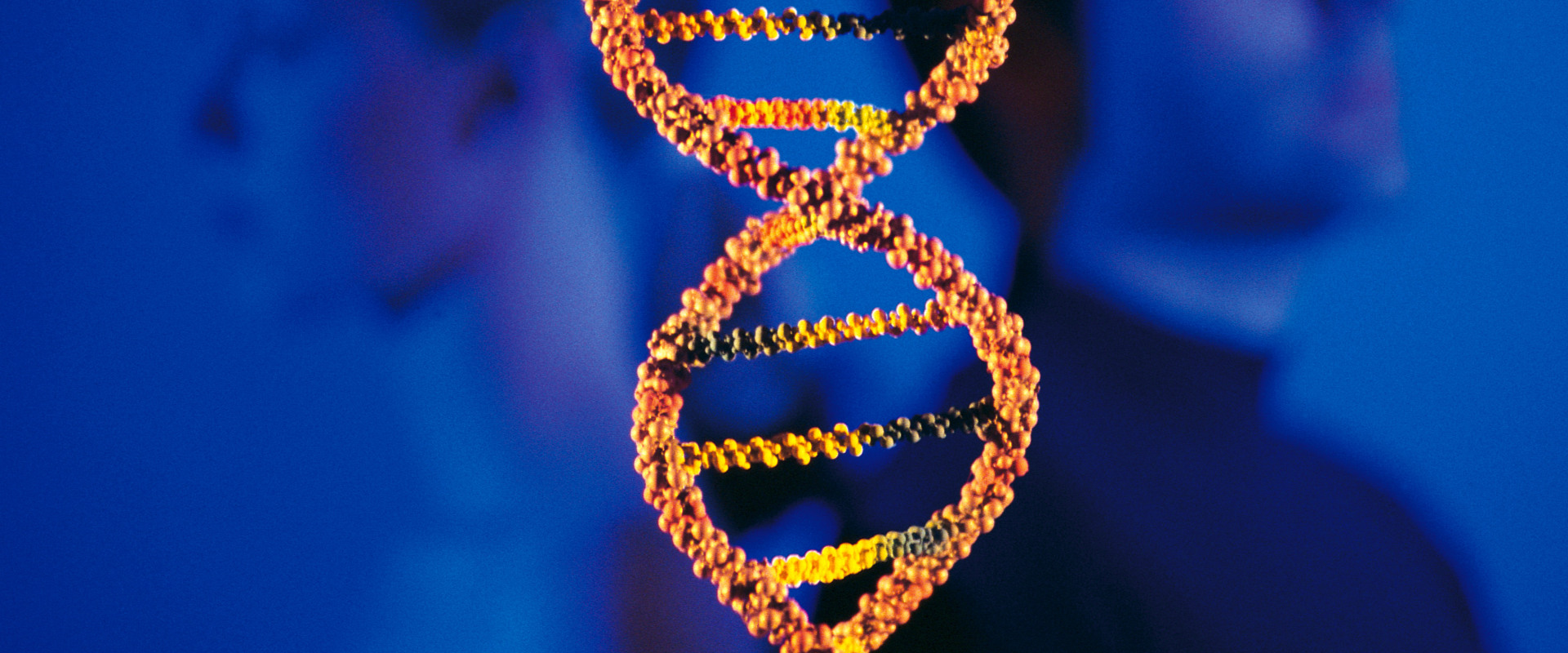 Unlocking the Secrets of Your Family Tree with DNA Testing