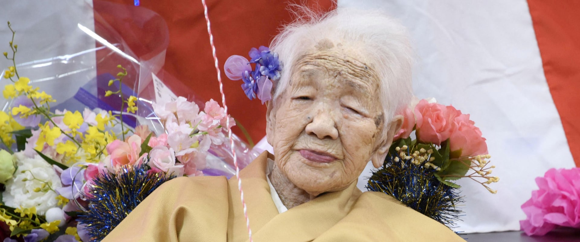 The Longest and Oldest Bloodlines in the World