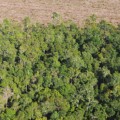 What is a Land Record and How to Access It