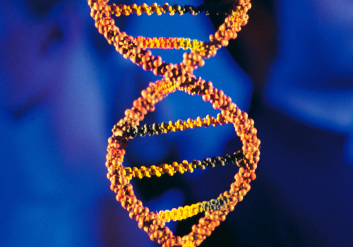 Unlocking the Secrets of Your Family Tree with DNA Testing