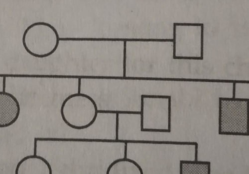 Unraveling the Mystery of Pedigree Charts